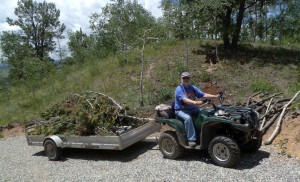 First load of burn pit wood, 2015