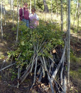 Another slash pile takes shape