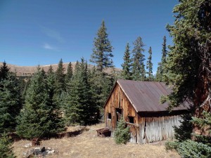 Old cabin along Forest Road 290