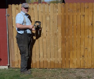 Jer applying wood preservative to the fence