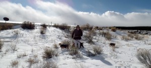 Pam walks the dogs around the back side of earth-berm house