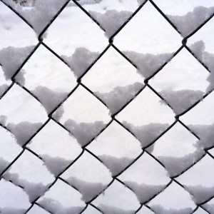 "Artsy" shot of our chain link fence