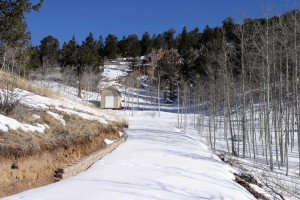 Driveway and shed, january 10th