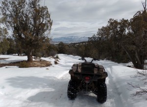 President's Day ride in Wild Horse Mesa