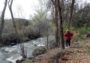 Pam views Surface Creek frontage