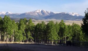 Mountain view from The Lot's driveway