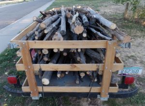 Load of firewood