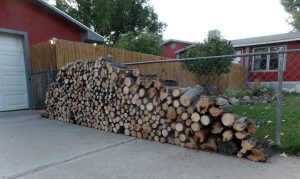 Most recent firewood