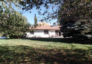 Large yard has underground sprinkler system