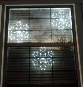 Snowflakes adorn our front window