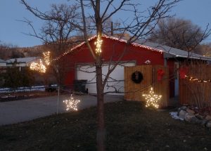 A few new stars hang from our Locust tree