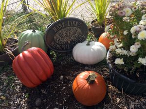 Pumpkins in the Mary Lynn Memorial Garden