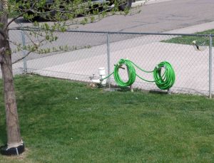 garden hose on reel